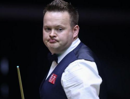 在这篇文章 在这篇文章