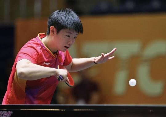 现颇有相似 现颇有相似