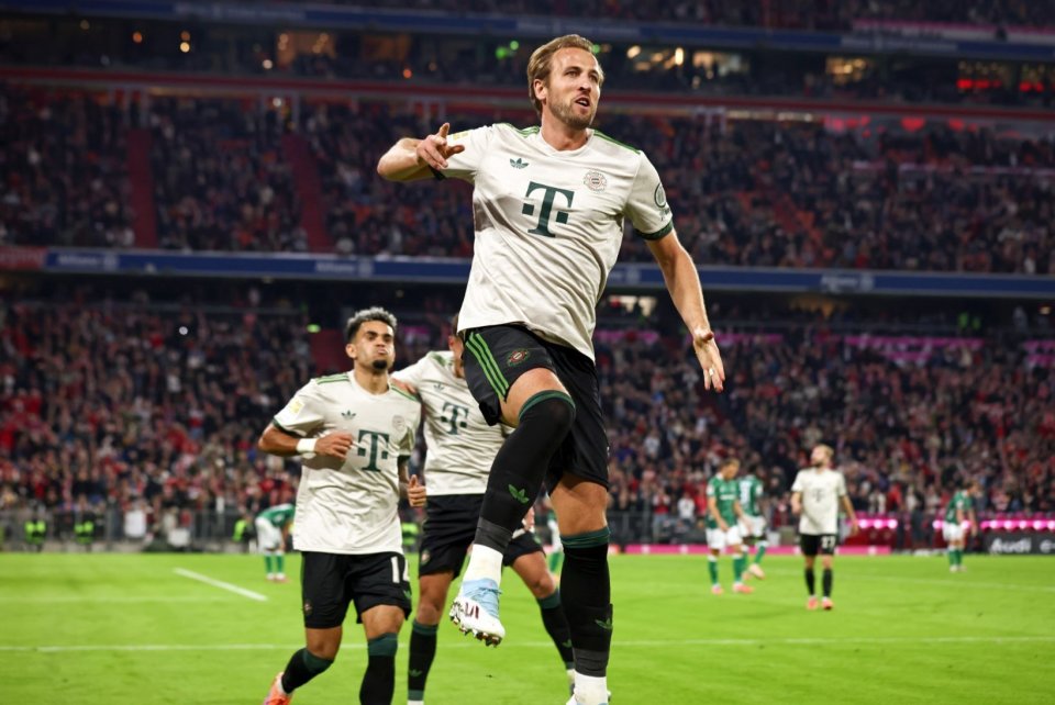 自然出现在 自然出现在